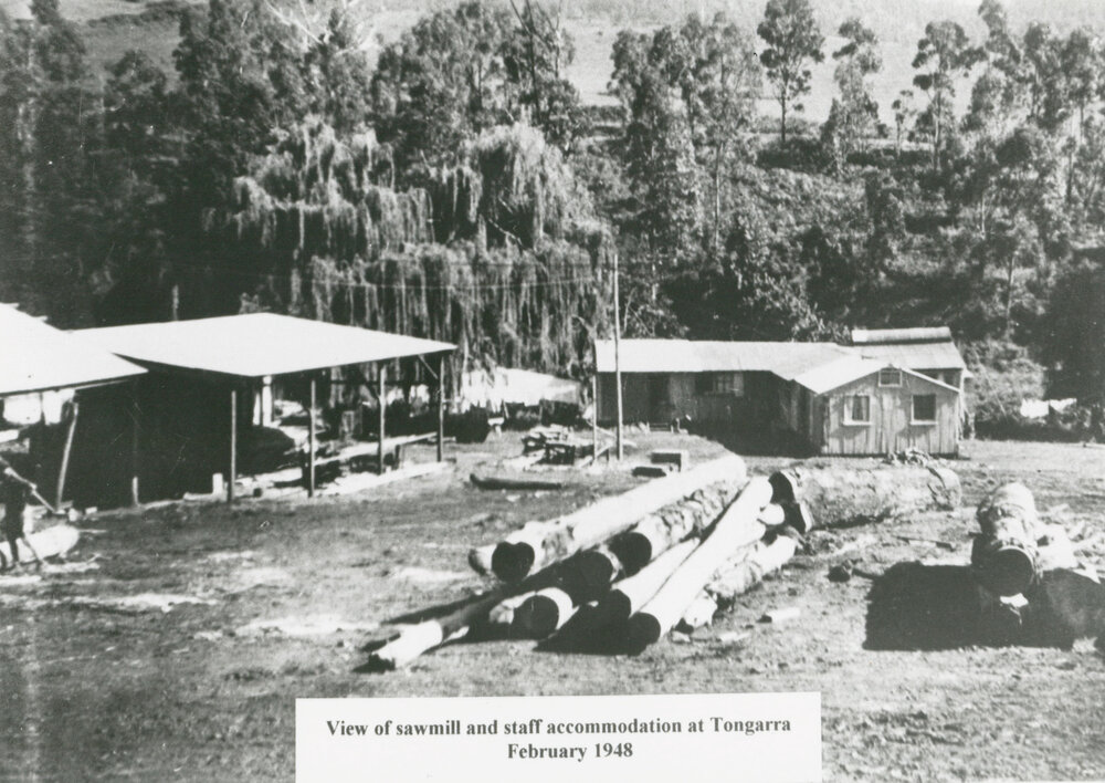 Tongarra Sawmill and staff accommodation