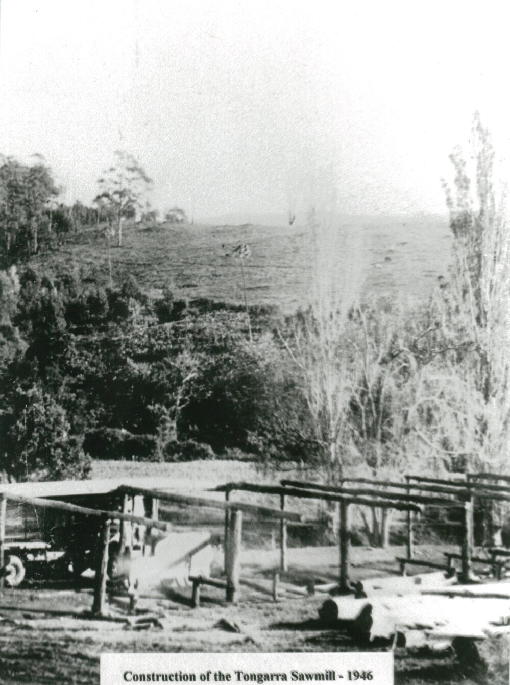 Construction of Tongarra Sawmill 1946