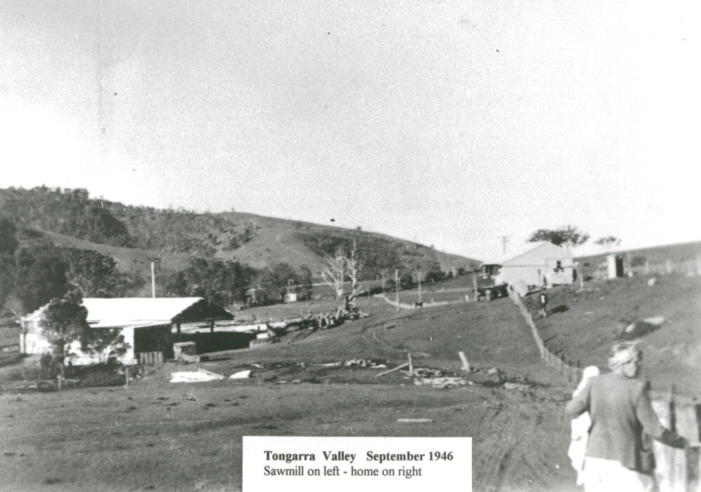 Tongarra Sawmill