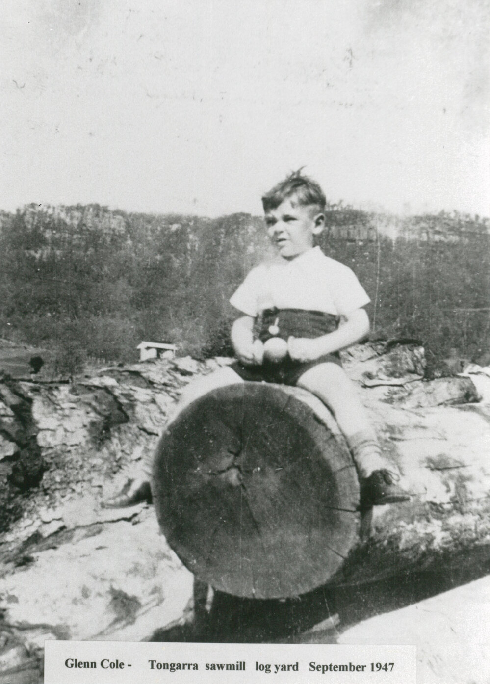 Glen Cole at Tongarra Sawmill log yard