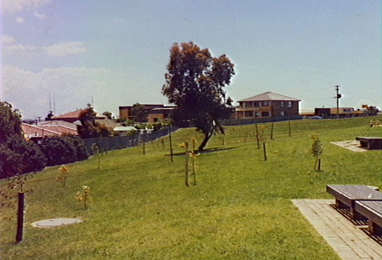 Barrack Heights Public School grounds 1985