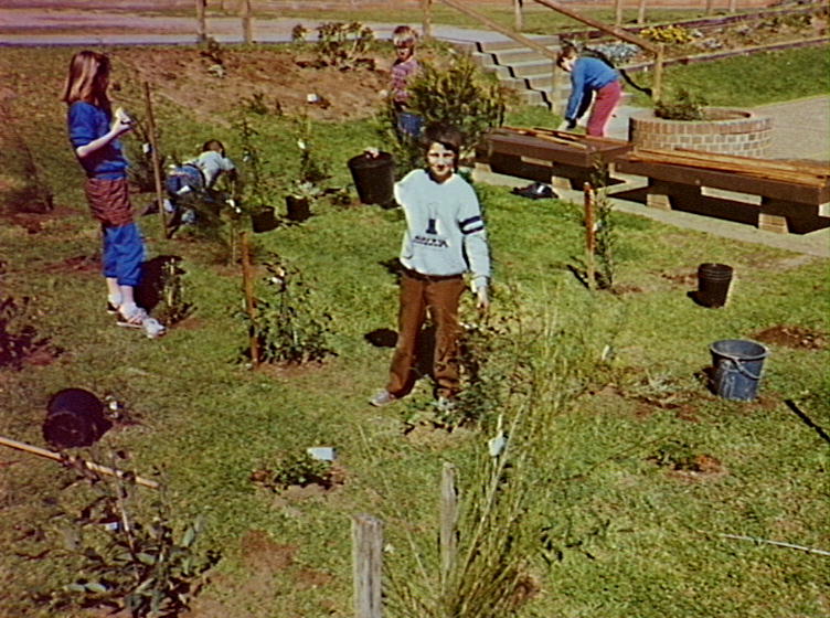 Pupils planting trees at Barrack Heights Public School