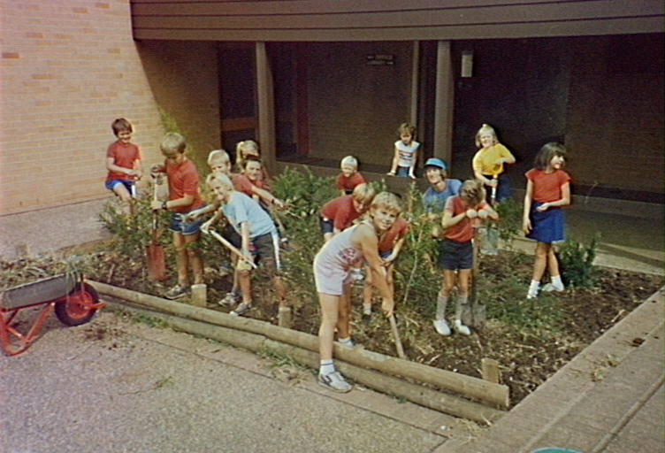 Pupils planting the canteen garden at Barrack Heights Public School