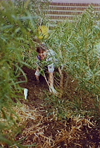 Helen Mullins among trees at Barrack Heights Public School