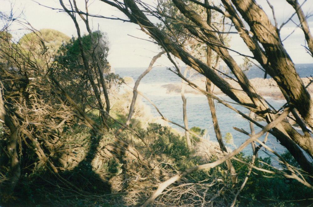 Bushranger's Bay, Bass Point 1985