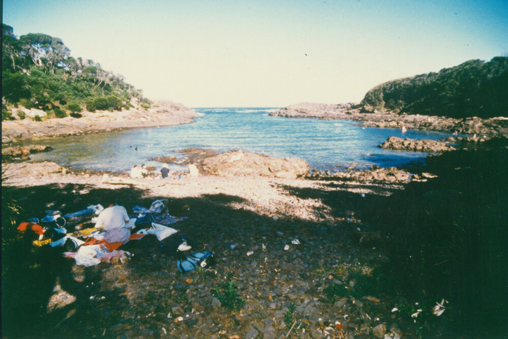Bushranger's Bay, Bass Point 1985