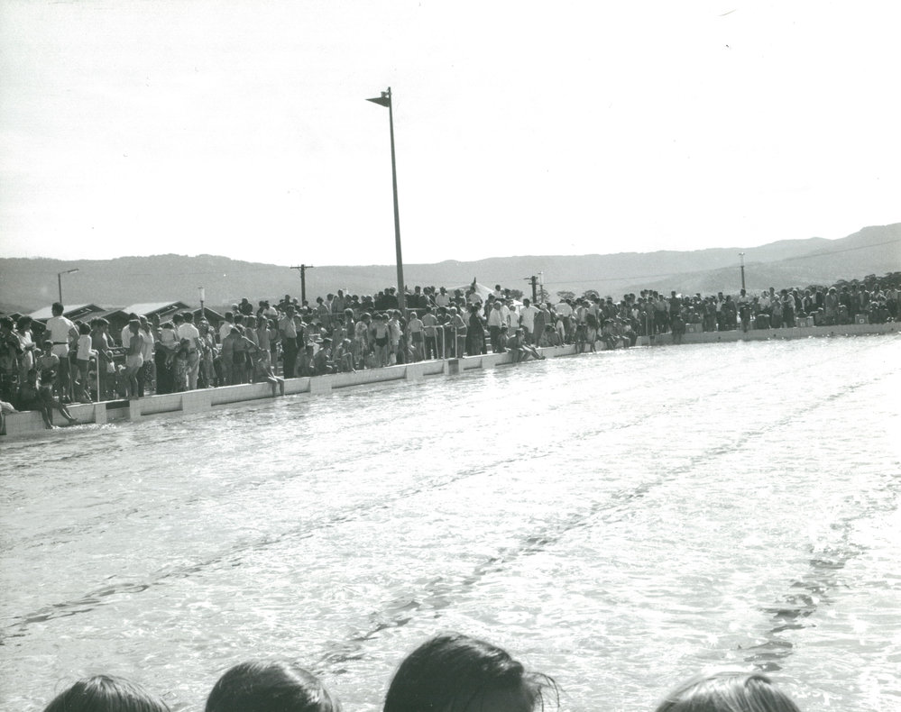Oak Flats Olympic Pool
