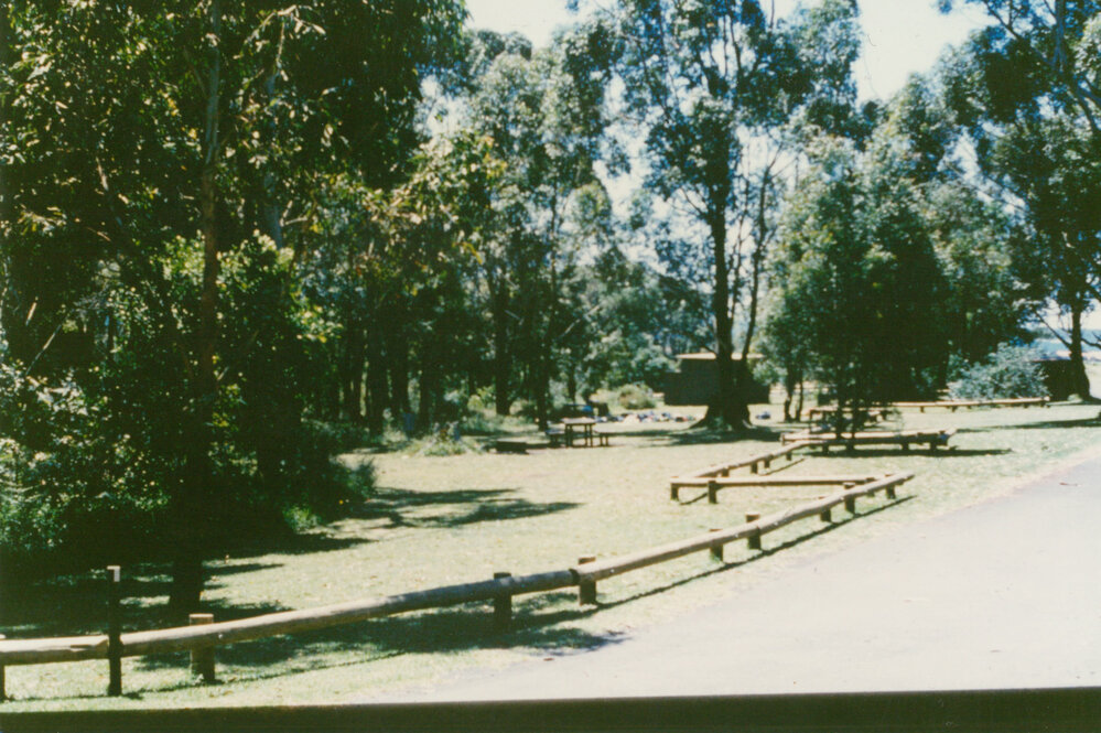 Blackbutt Forest Reserve about 1985