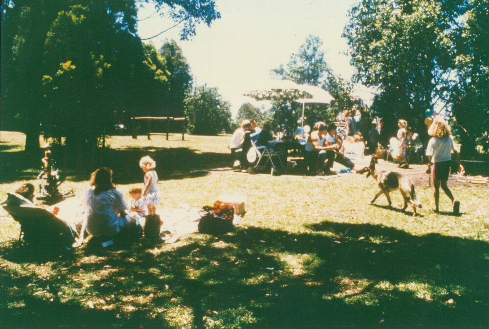 Blackbutt Forest Reserve about 1985