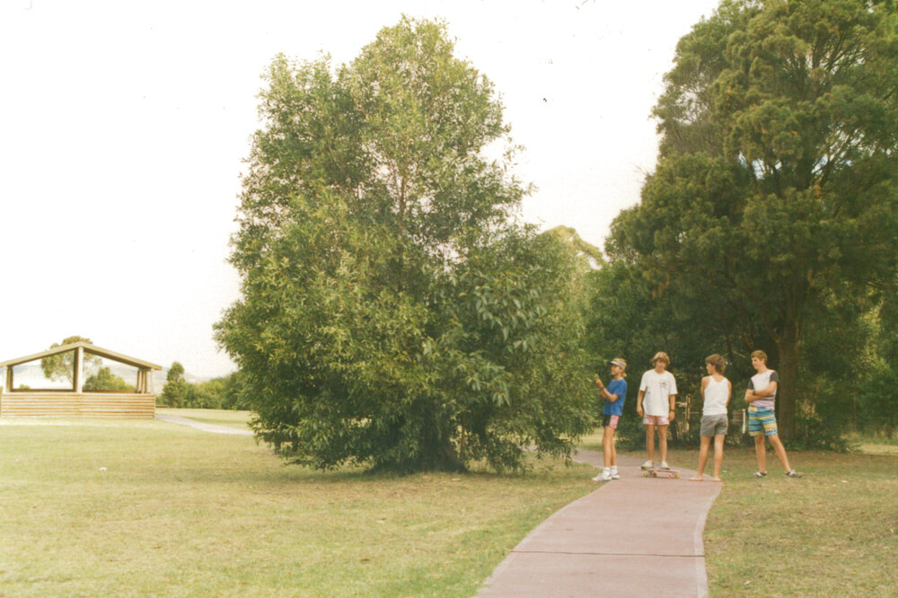 Blackbutt Forest Reserve about 1985