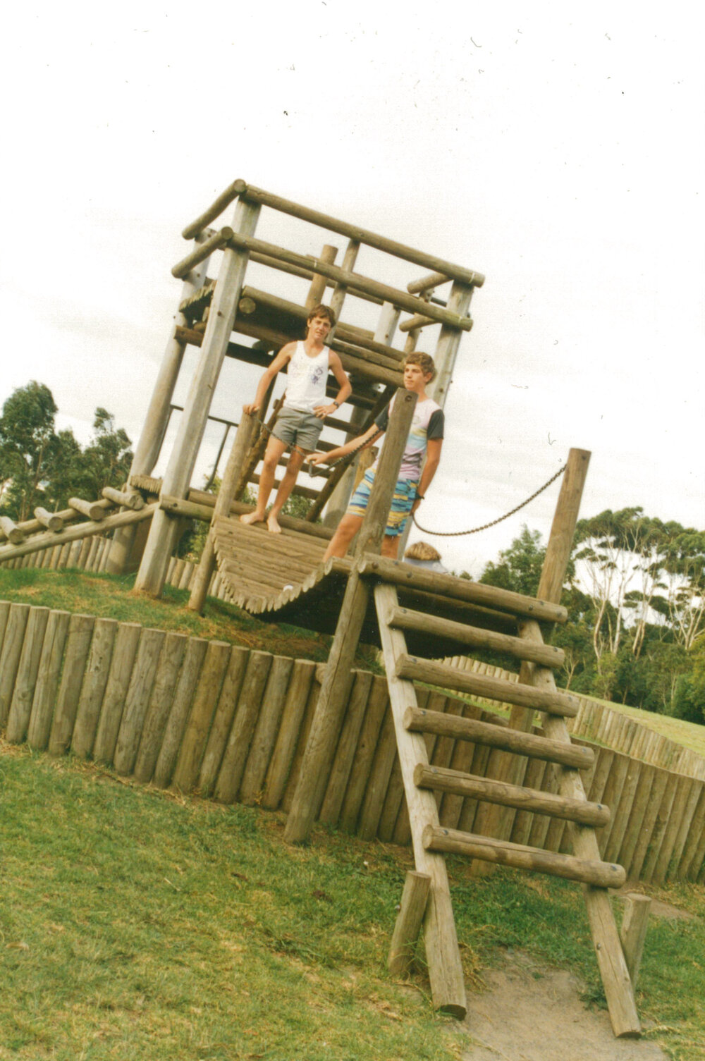 Blackbutt Forest Reserve