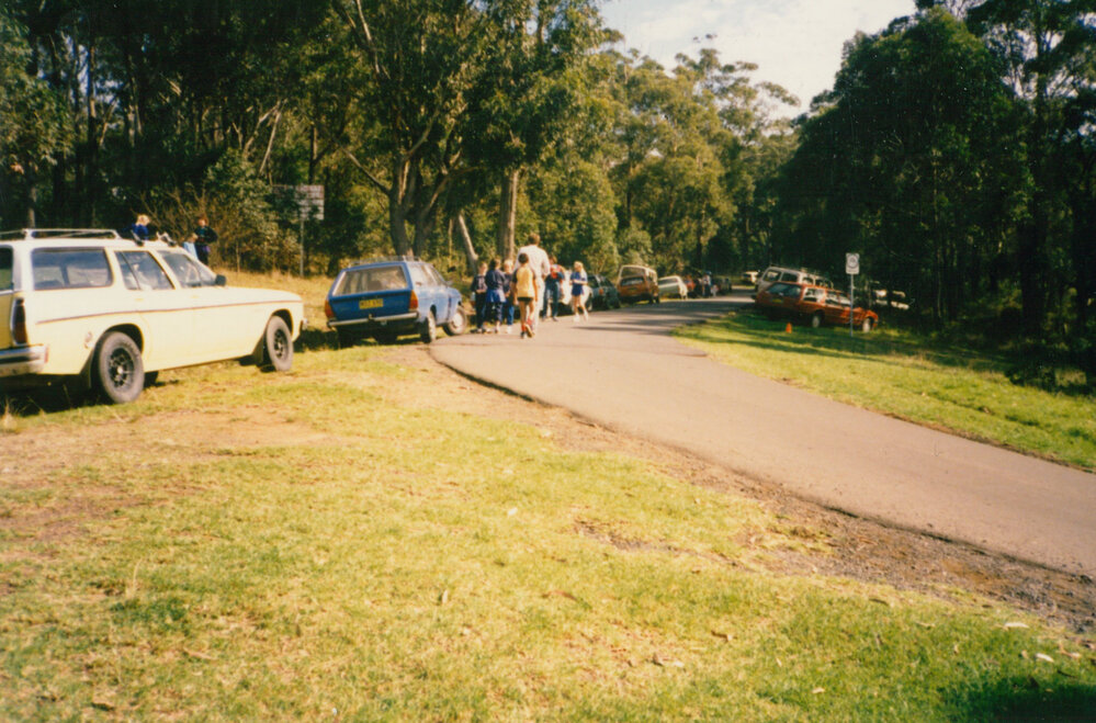 Blackbutt Forest Reserve 1987