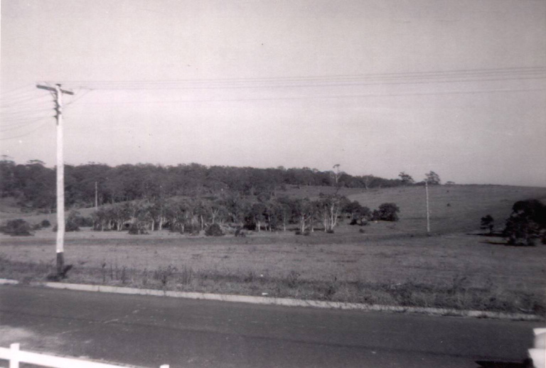 Blackbutt from Daphne Street 1964