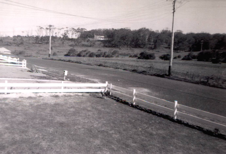 Blackbutt water tank from Daphne Street, Barrack Heights 1964