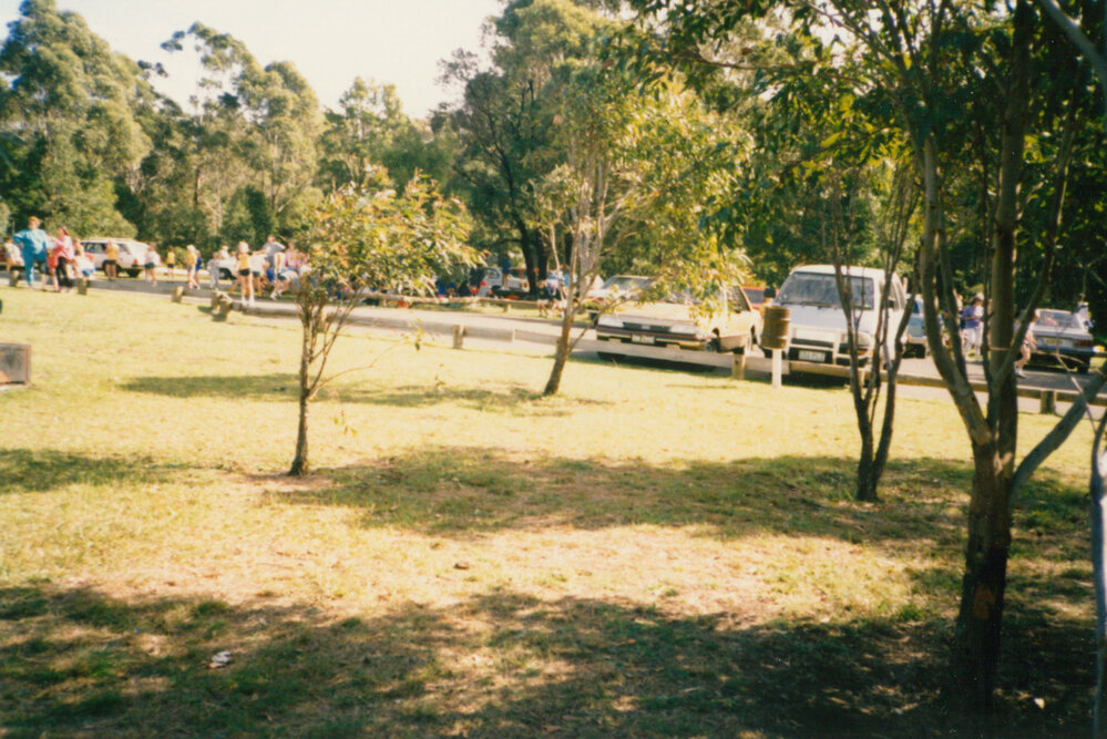 Blackbutt Forest Reserve 1987