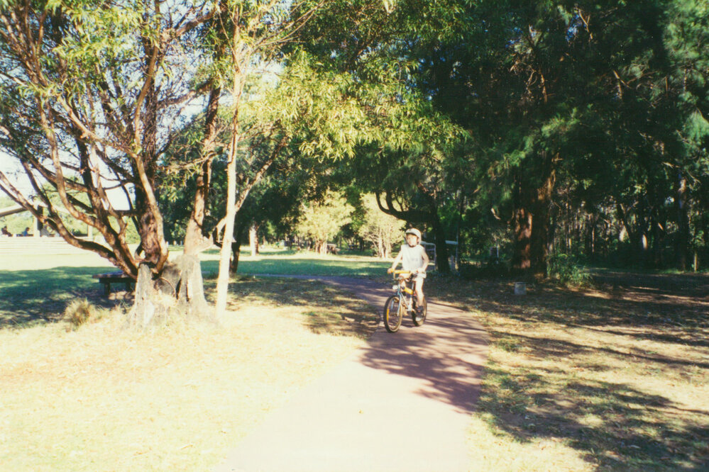 Blackbutt Forest Reserve 1994