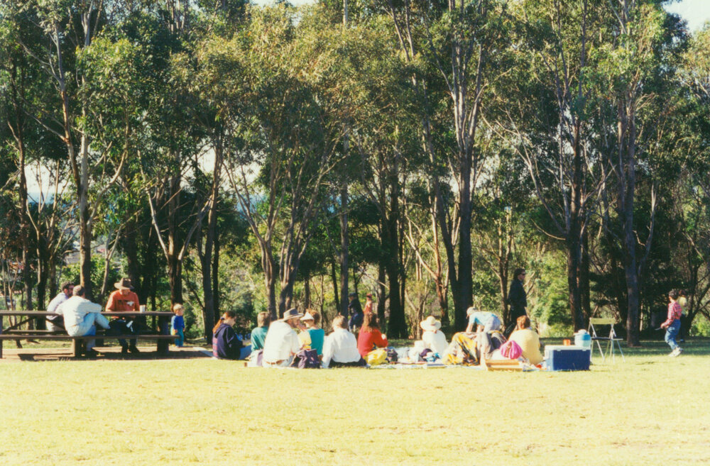Blackbutt Forest Reserve 1994