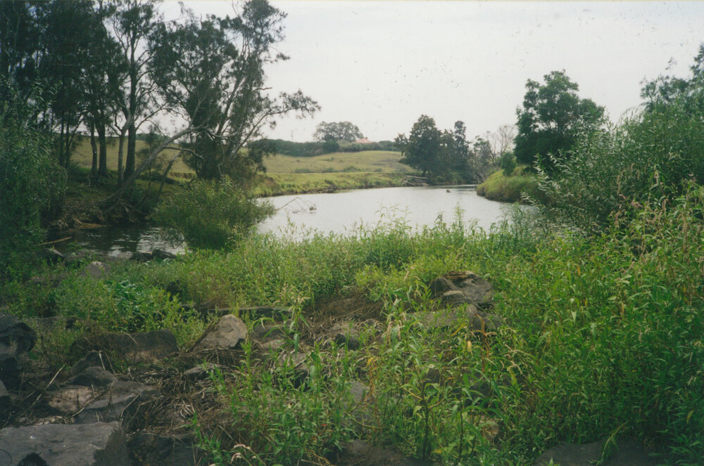 Macquarie Rivulet weir looking east