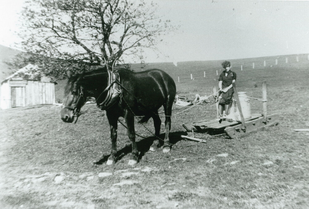 Grace Warland at Stoney Creek