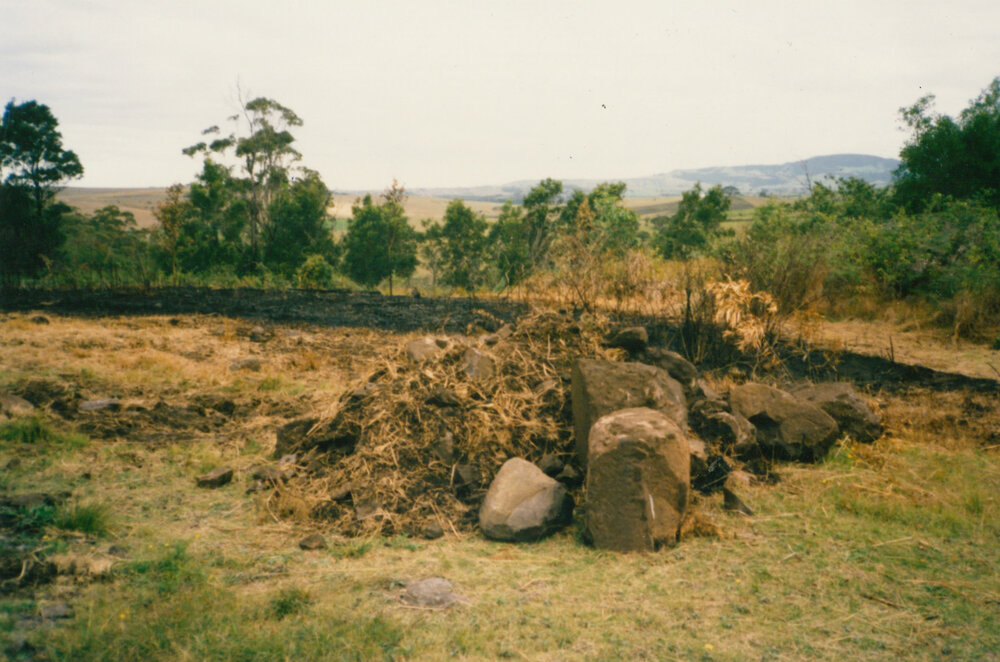 Fire hazard reduction program in Blackbutt Forest Reserve