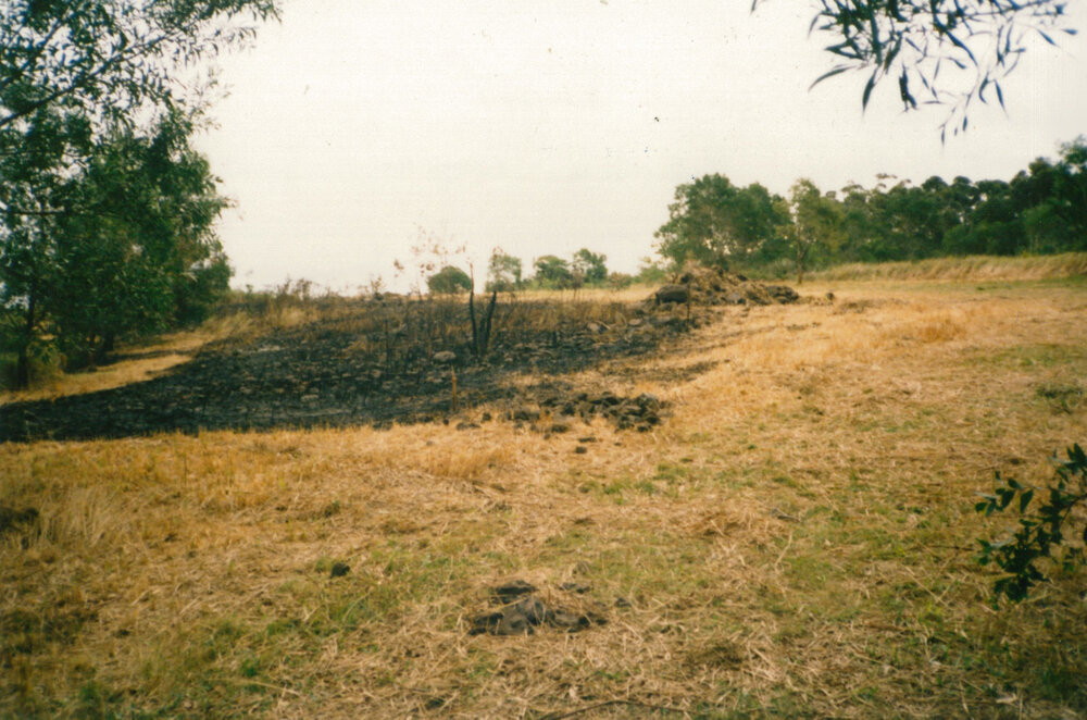 Fire hazard reduction program in Blackbutt Forest Reserve 1987