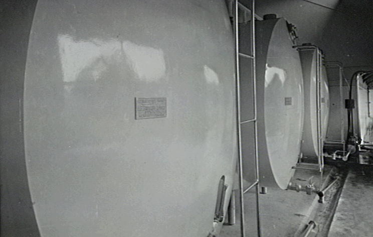 Milk vats at the Illawarra Cooperative Central Dairy factory