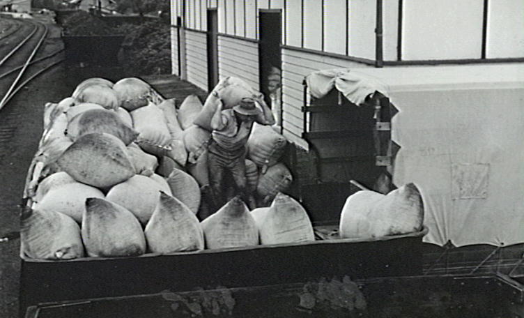 Cec Sweeney loading produce from the Illawarra Cooperative Central Dairy factory store