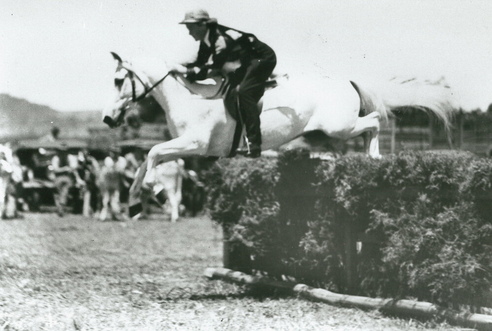 Betty Martin competing on 'Little Sir Echo' at Albion Park Show