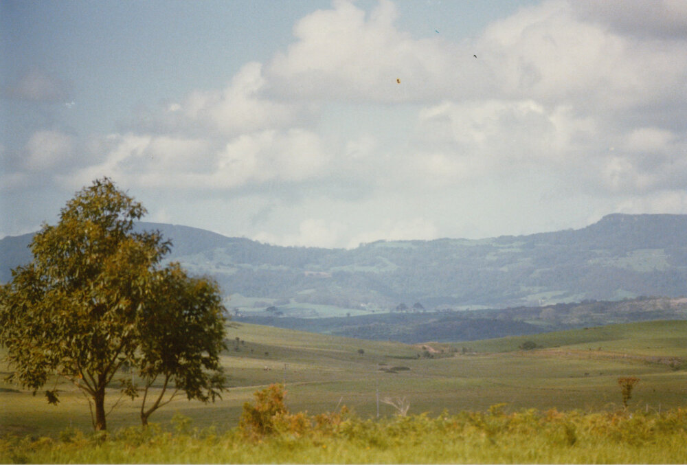 Saddleback Mountain Range from Blackbutt