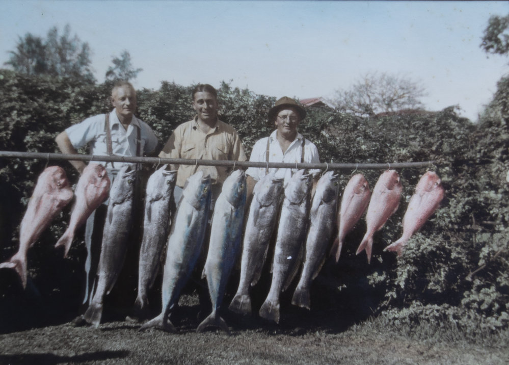 Fishing catch 1952