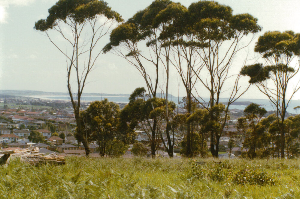 View north east towards Port Kembla from Blackbutt