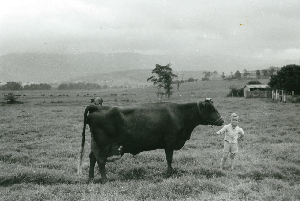 Graeme Dudgeon at 'Parkview'