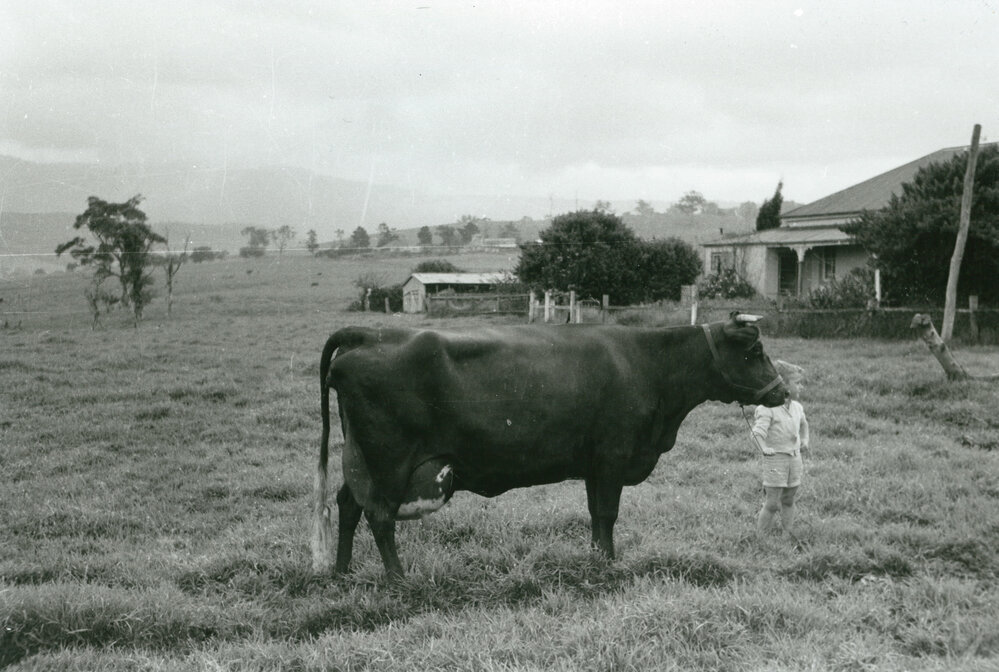 Graeme Dudgeon at 'Parkview'