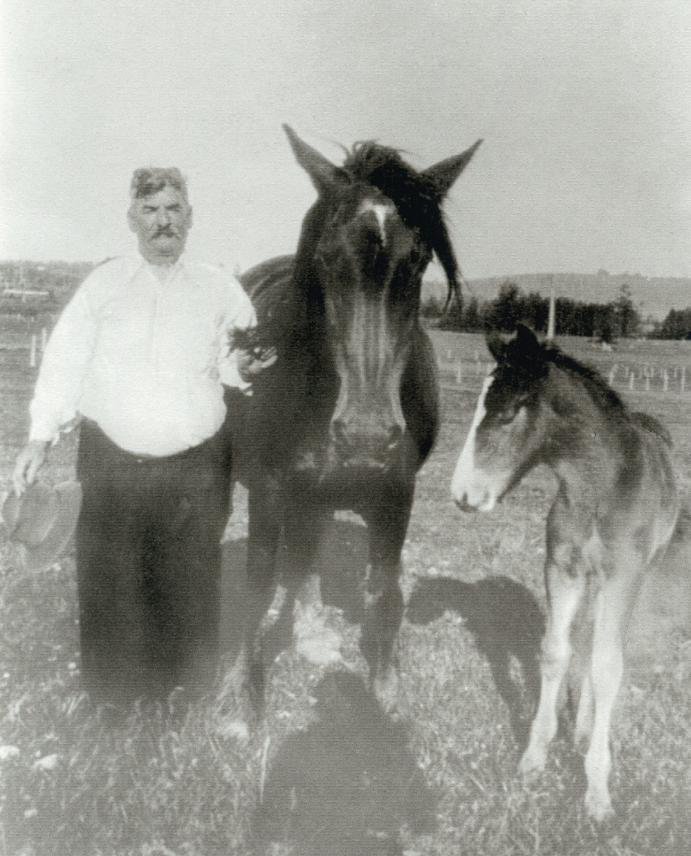 David Timbs 1871-1942