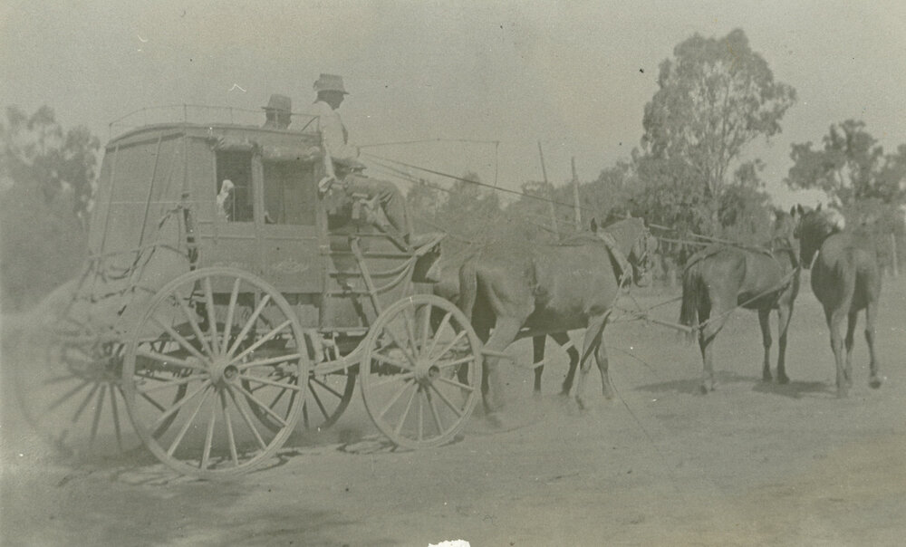 Thomas Timb's coach, Albion Park 1914-18