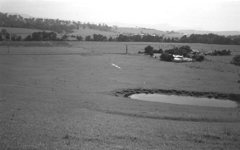 Tullimbar cricket pitch