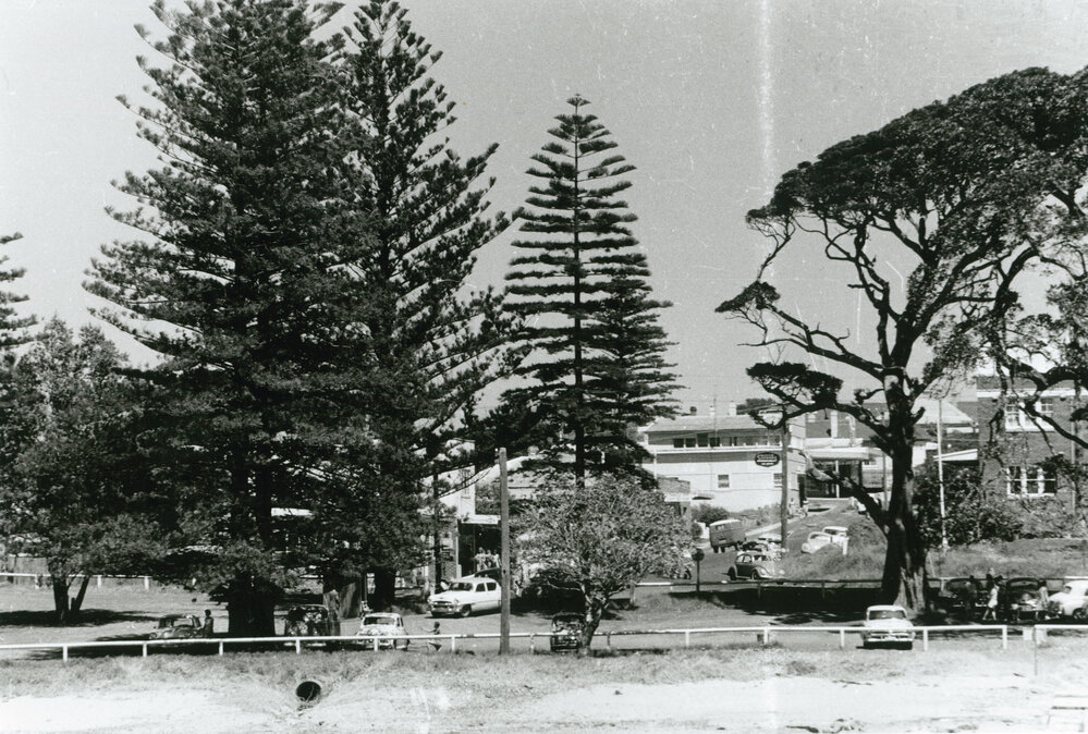 Shellharbour's Little Park in the 1950s