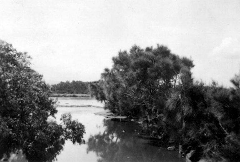 Little Lake view