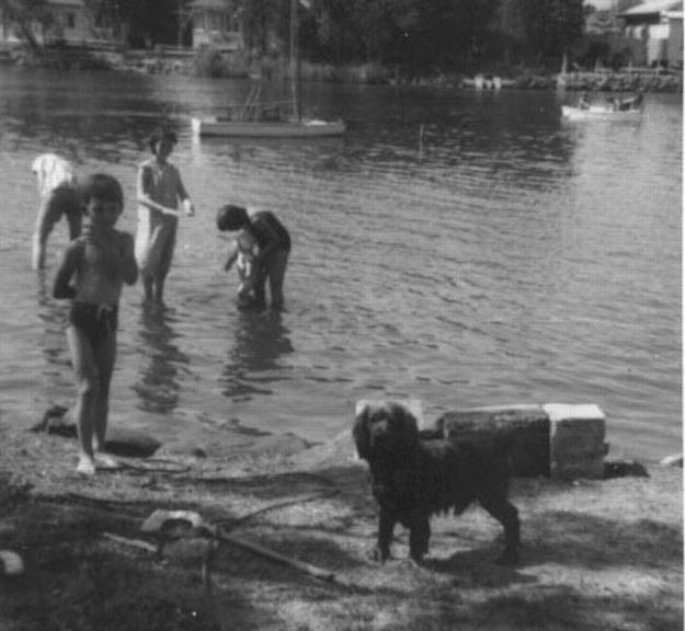 Family and dog at Little Lake