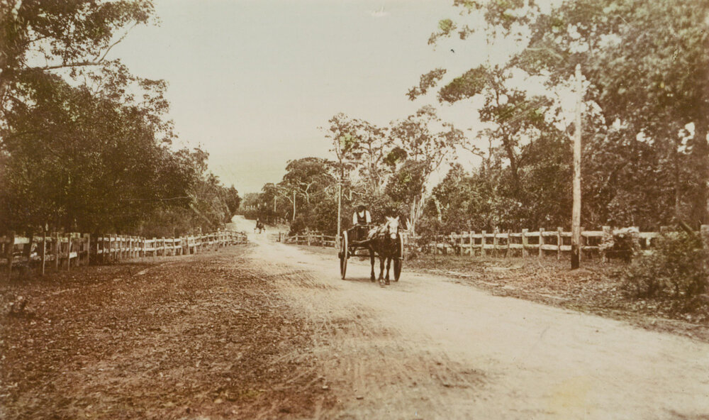 Road from the railway to Albion Park c.1890