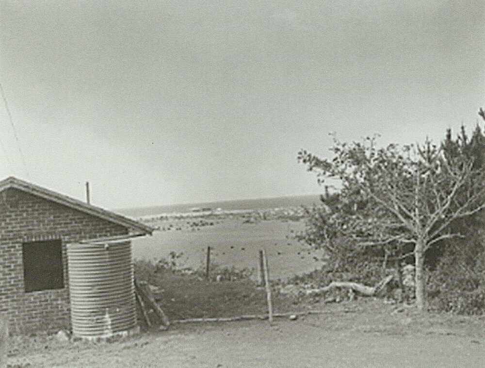 View from Gorrell's Farm, Mt Warrigal