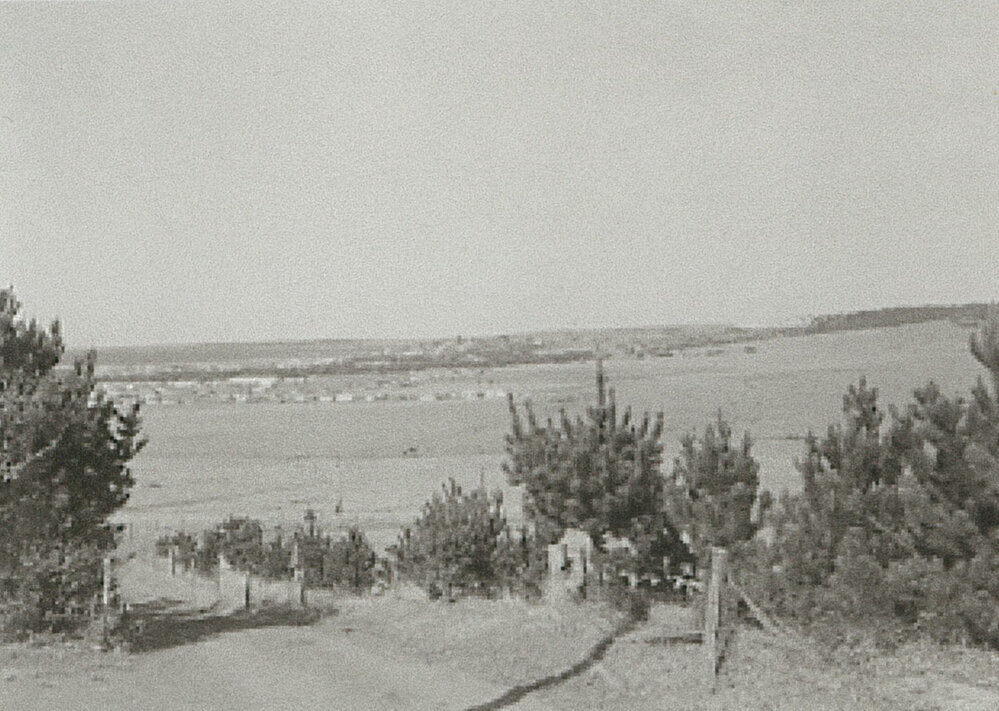View from Gorrell's Farm, Mt Warrigal