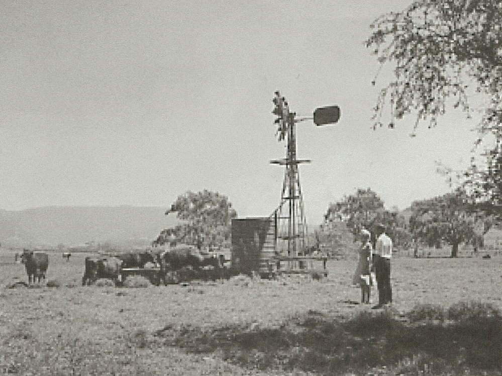 Windmill at Albion Park