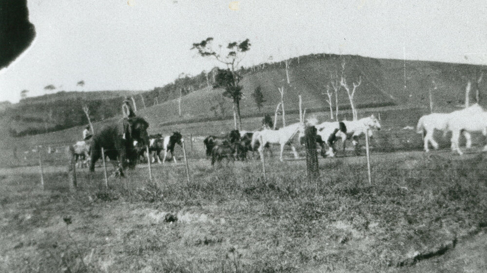 The circus comes to town c.1920