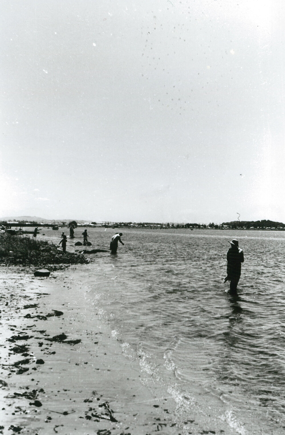 Lake Illawarra foreshores c.1950