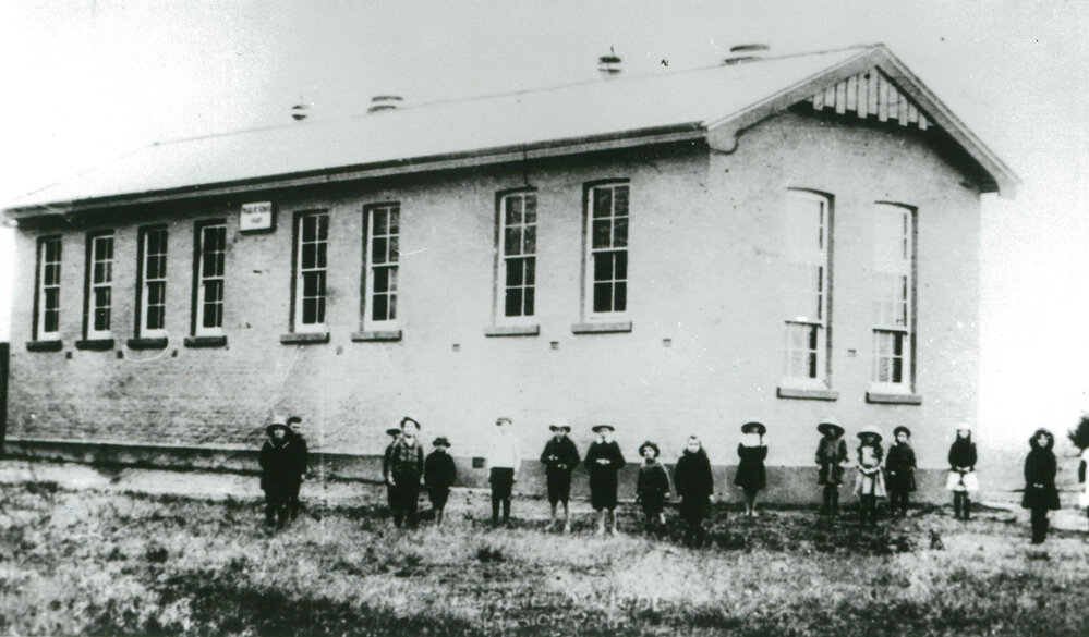 Albion Park Public School