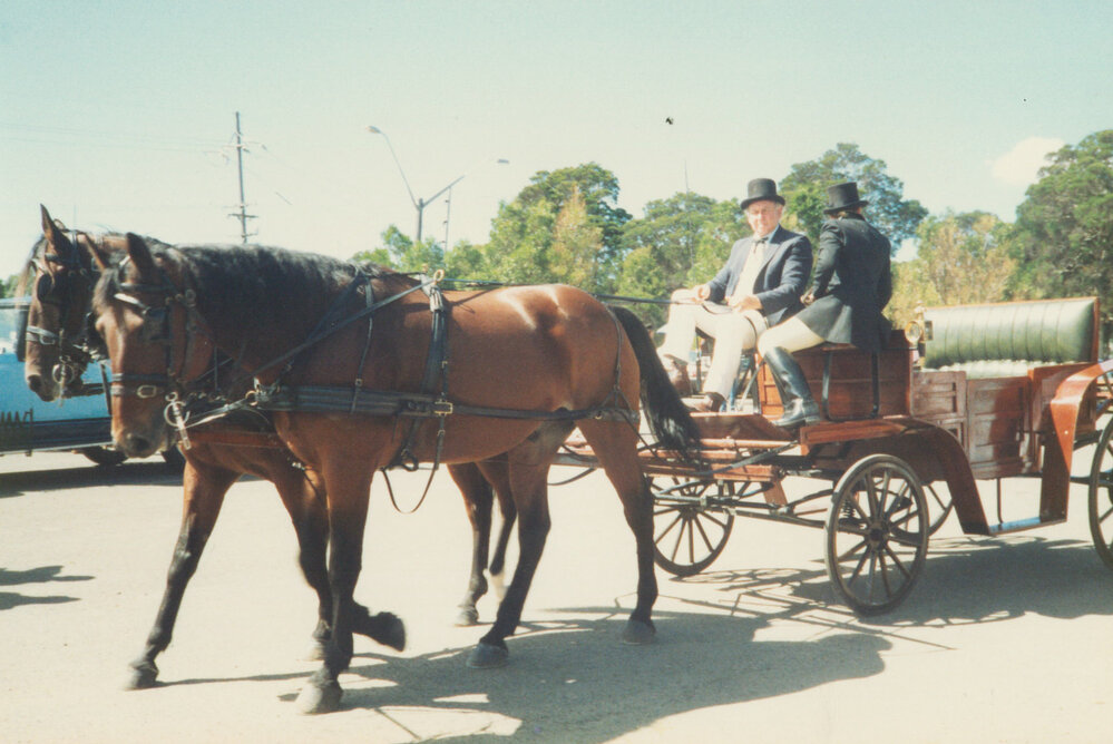 Horses &amp; carriage at the opening of Tongarra Museum 1988