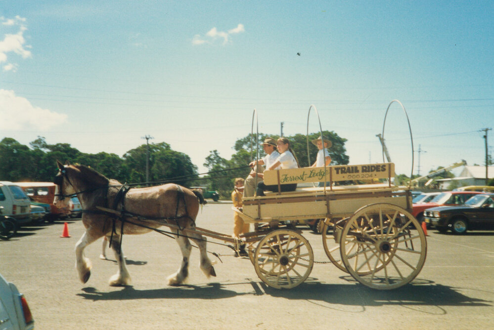 Horse and cart in parade at Tongarra Museum 1988