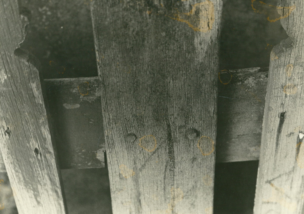 Paling posts on the Mercer site, Albion Park Pioneer Cemetery