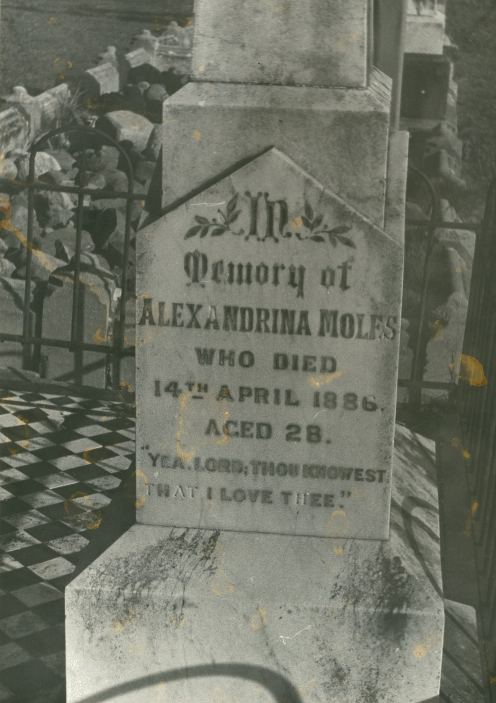 Alexandrina Moles headstone, Albion Park Pioneer Cemetery